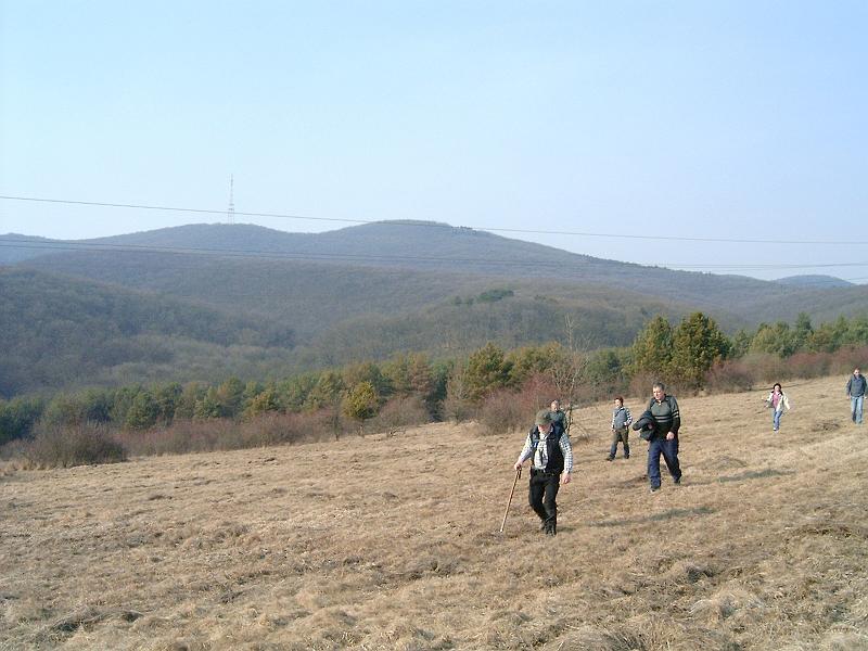 20110312 065.jpg